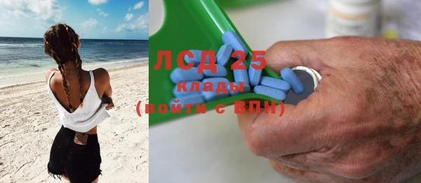 прущие грибы Заволжье