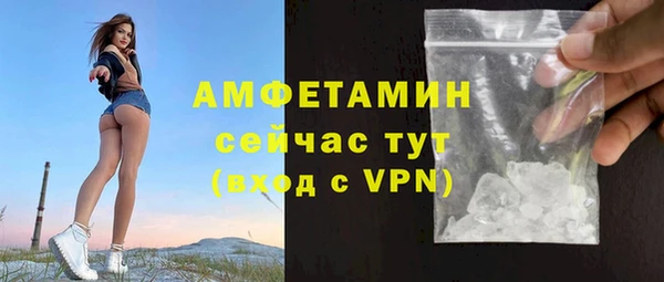 прущие грибы Заволжье