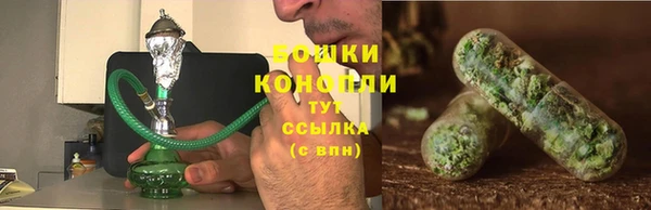 мескалин Заводоуковск