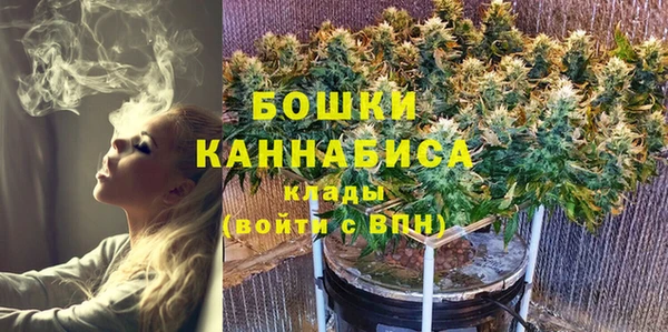 Альфа ПВП Елизово