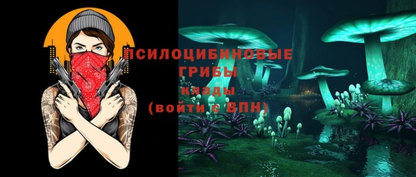 прущие грибы Заволжье
