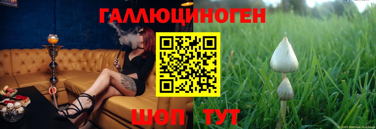 Галлюциногенные грибы MAGIC MUSHROOMS Протвино